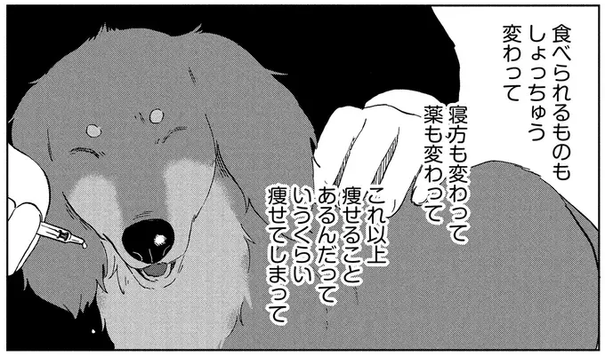 『アルへ』（画像33/78枚目）