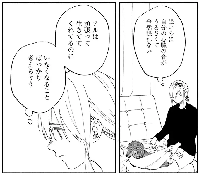 『アルへ』（画像34/78枚目）