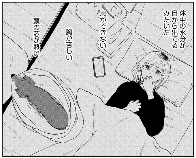 『アルへ』（画像36/78枚目）