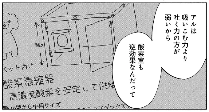 17年一緒だった愛犬が「余命1カ月」と診断された日。私にできることは...？／アルへ（7）