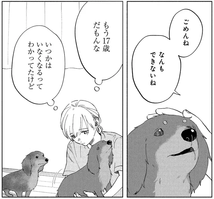 17年一緒だった愛犬が「余命1カ月」と診断された日。私にできることは...？／アルへ（8）