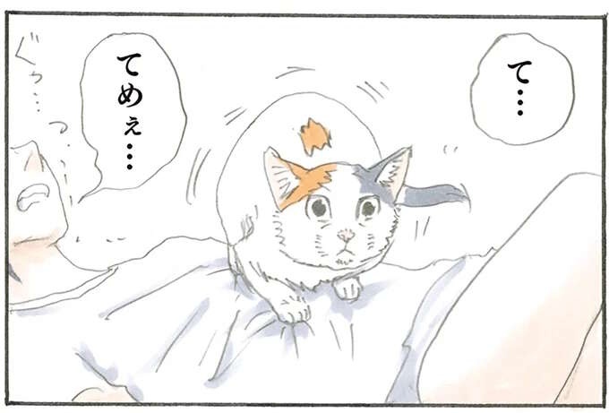 『拾い猫のモチャ1～8』（1）