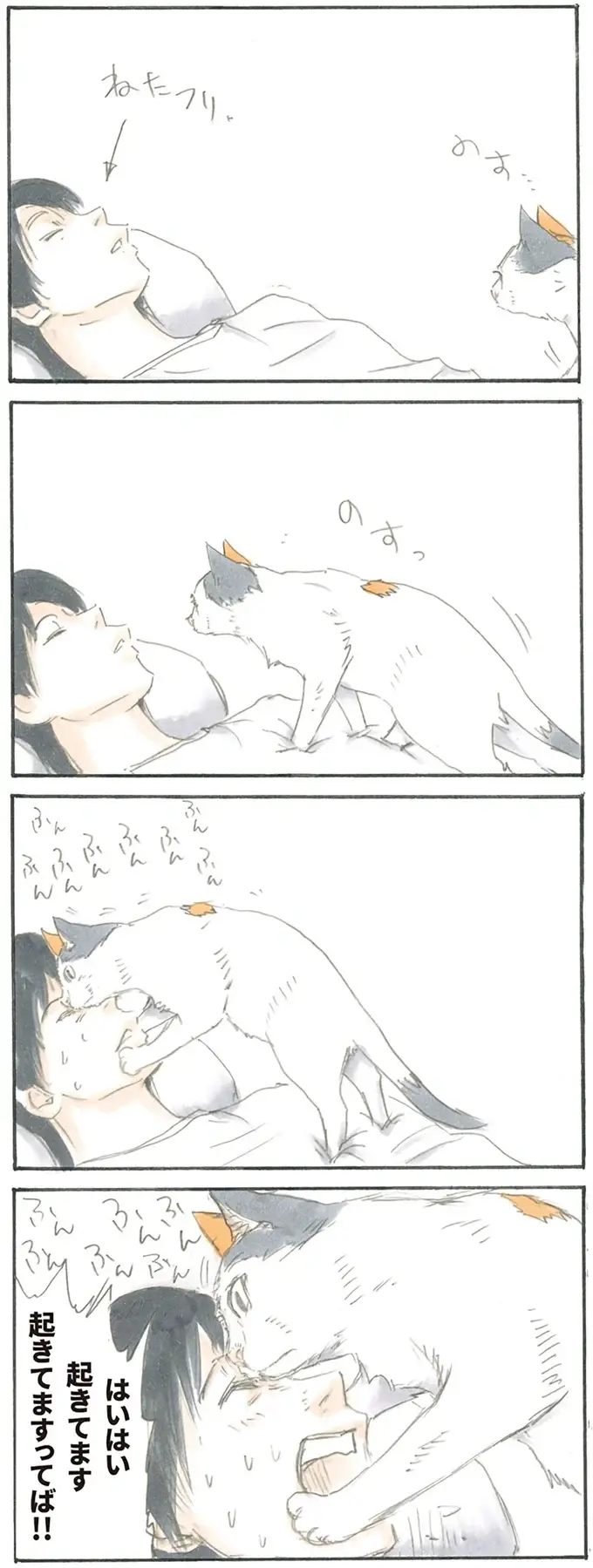 『拾い猫のモチャ1～8』（3）