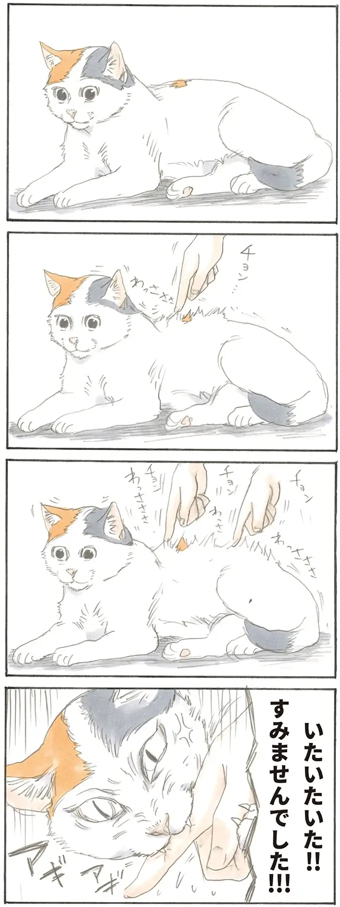 『拾い猫のモチャ1～8』（4）