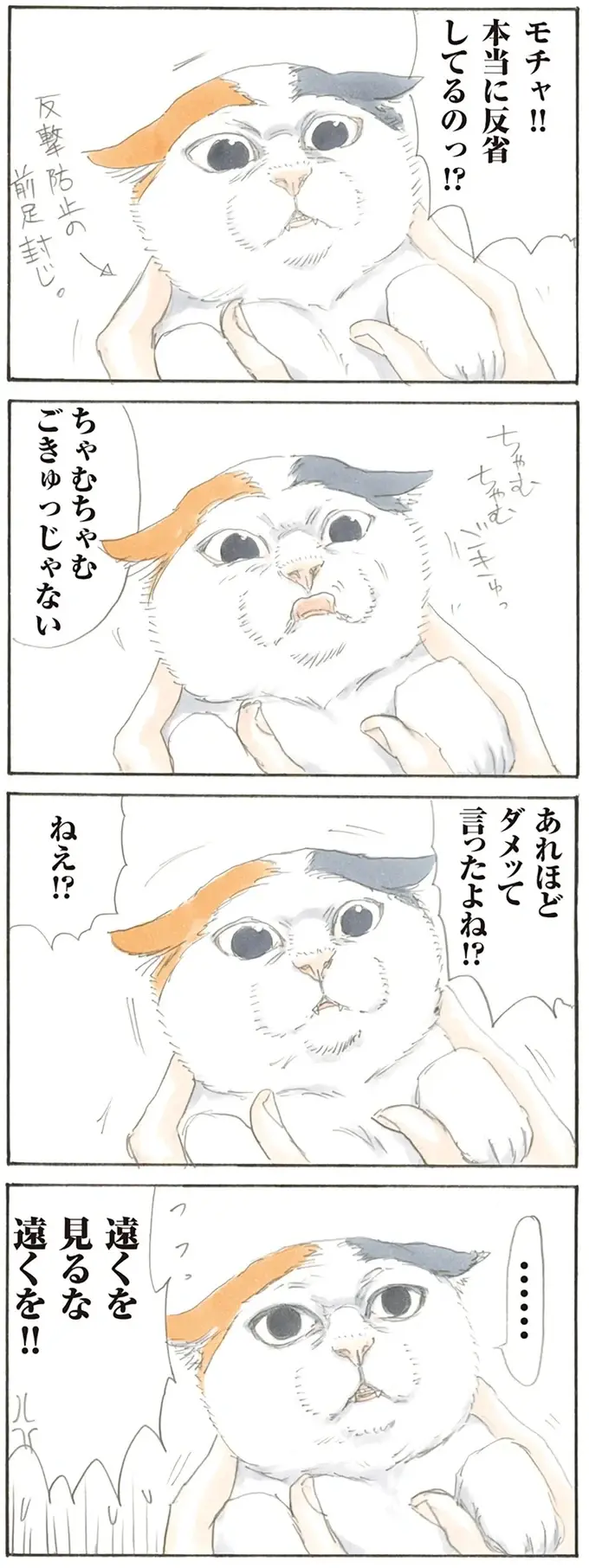 『拾い猫のモチャ1～8』（7）