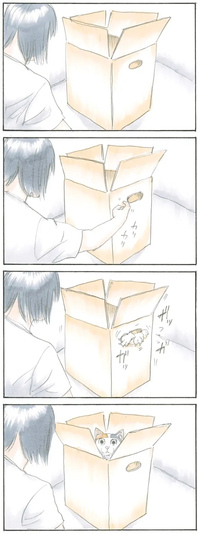 『拾い猫のモチャ1～8』（8）