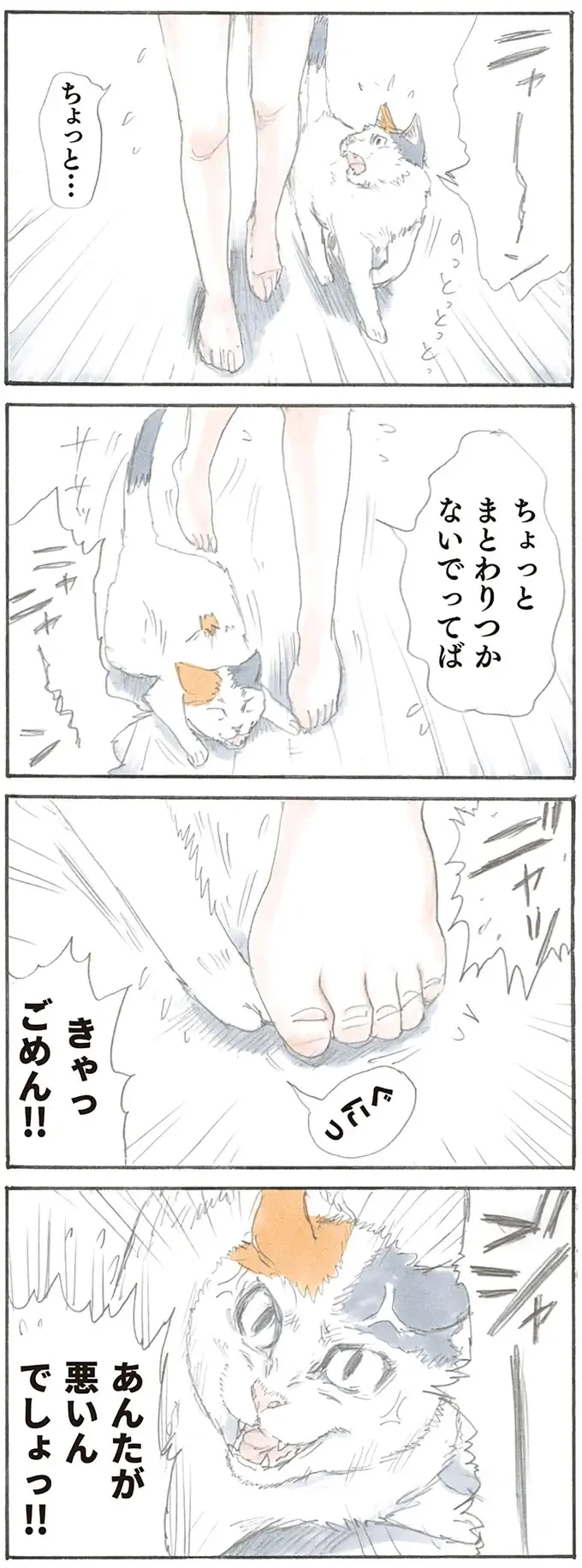 『拾い猫のモチャ1～8』（9）