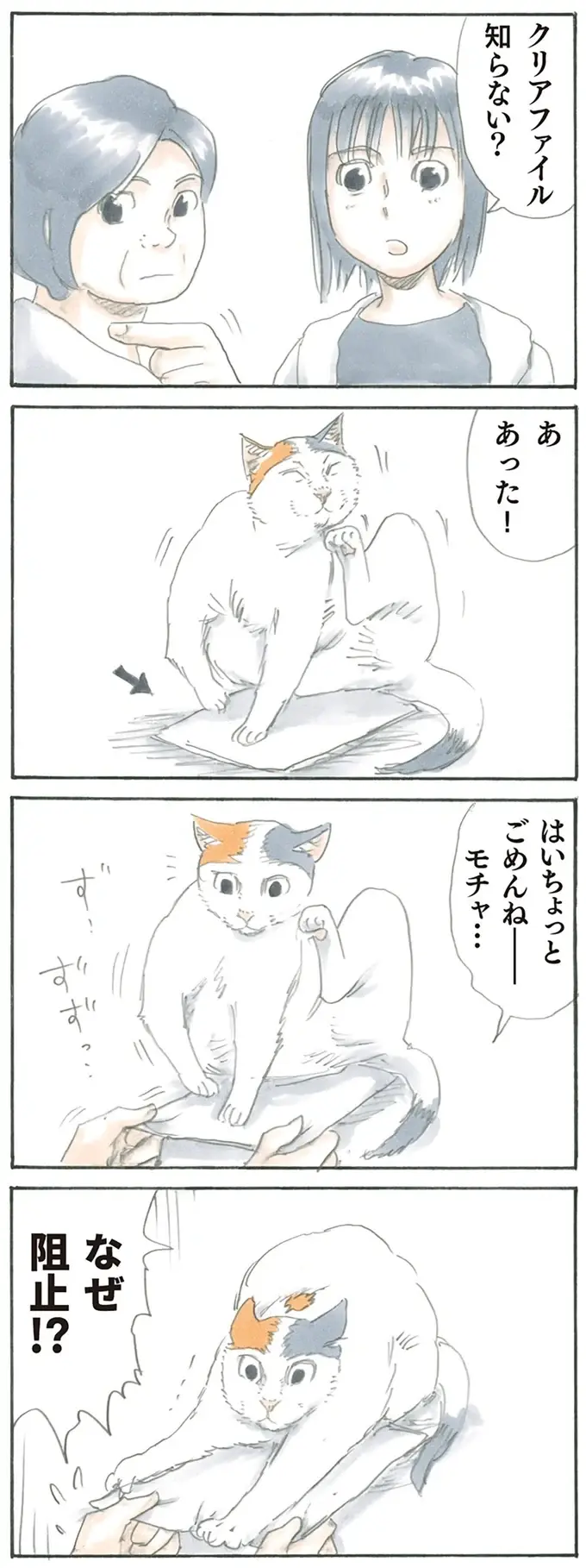 『拾い猫のモチャ1～8』（11）