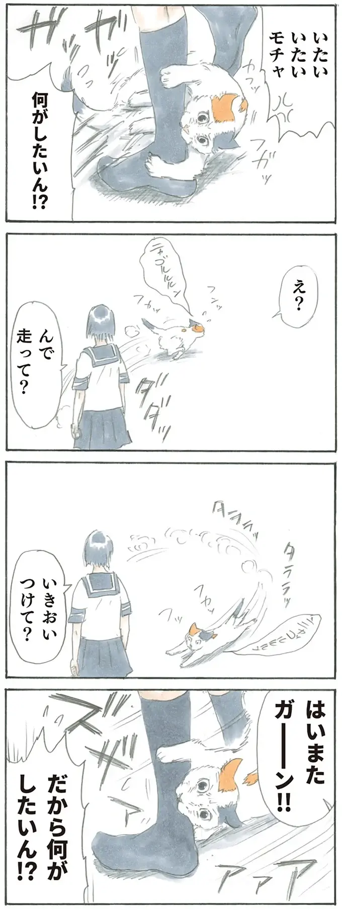 『拾い猫のモチャ1～8』（12）