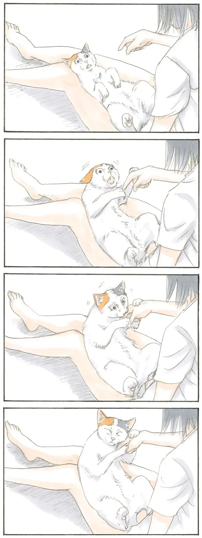 『拾い猫のモチャ1～8』（13）