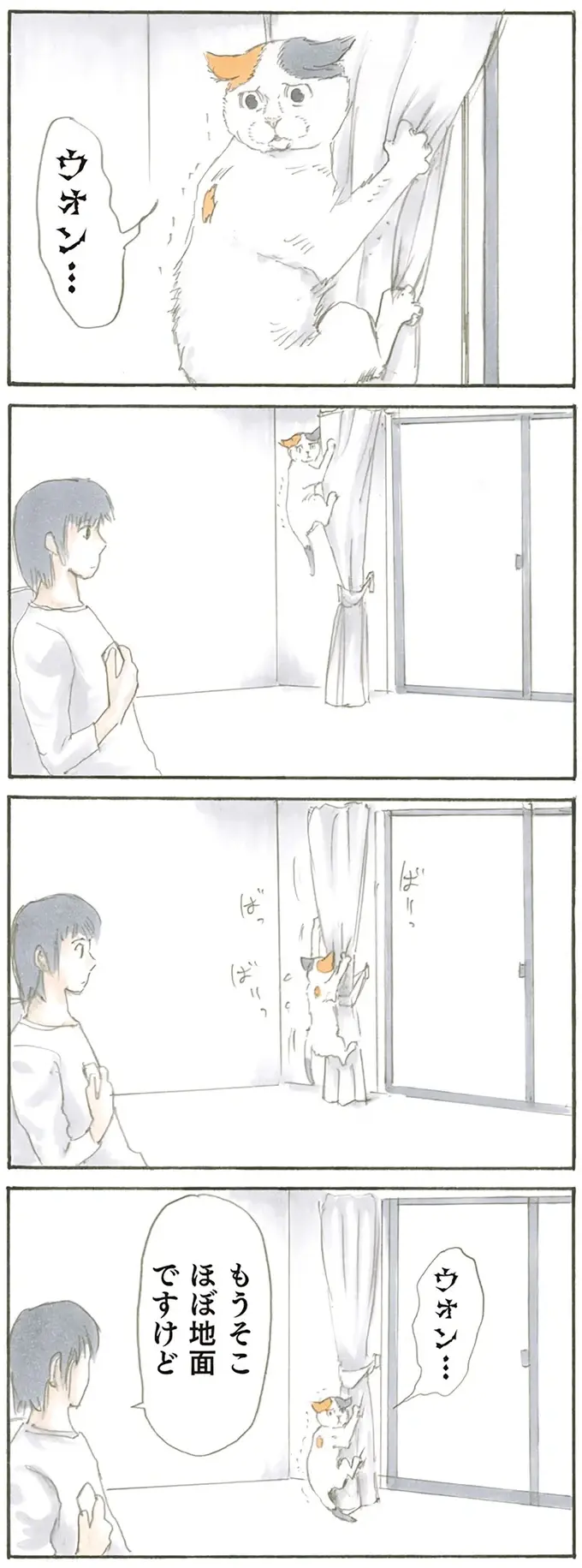 『拾い猫のモチャ1～8』（14）
