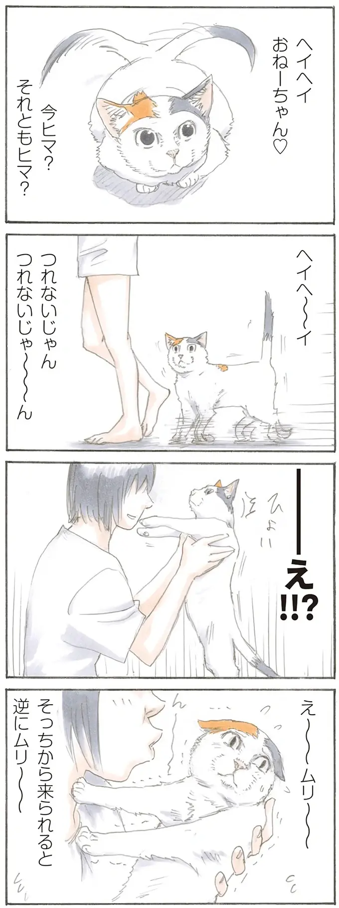 『拾い猫のモチャ1～8』（15）