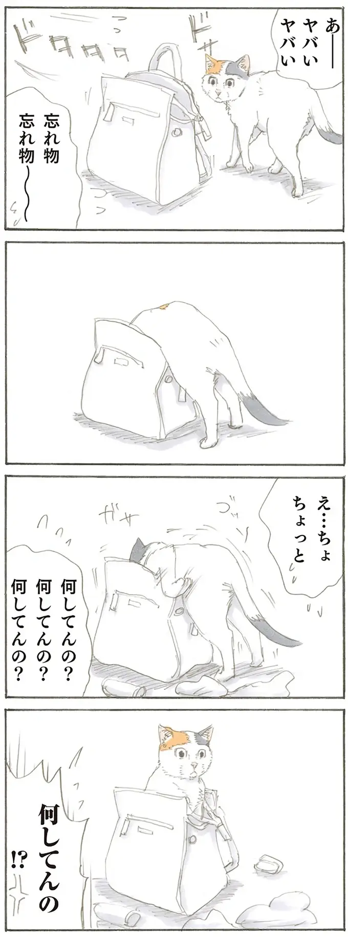 『拾い猫のモチャ1～8』（16）