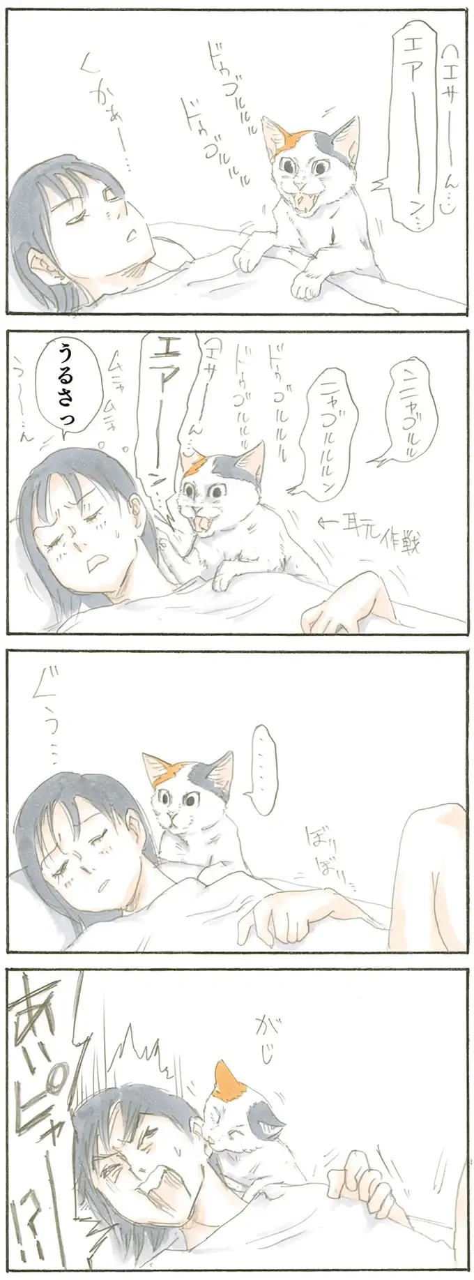 『拾い猫のモチャ1～8』（19）