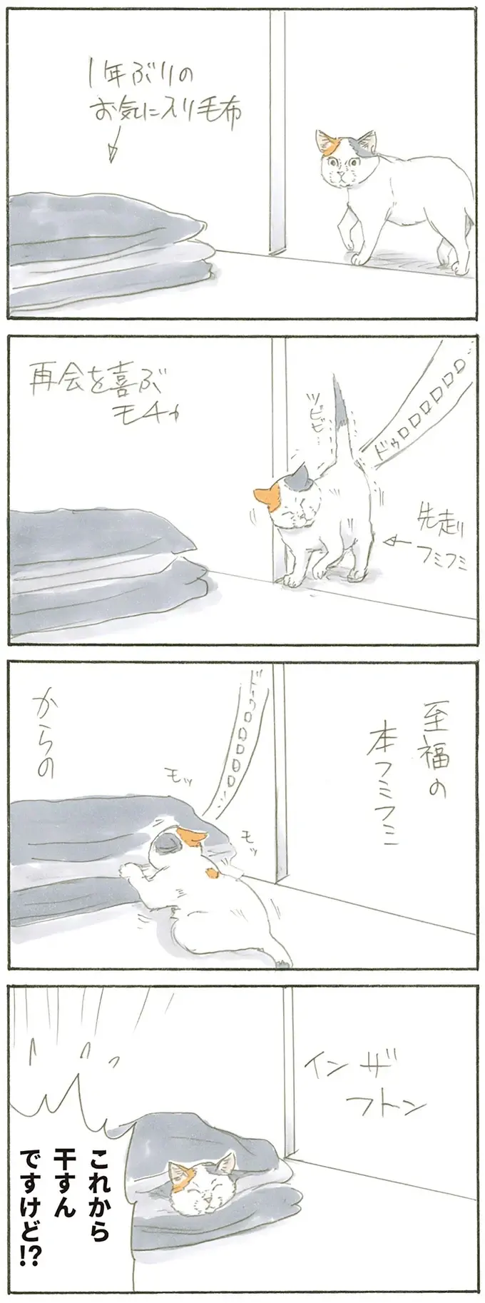 『拾い猫のモチャ1～8』（21）