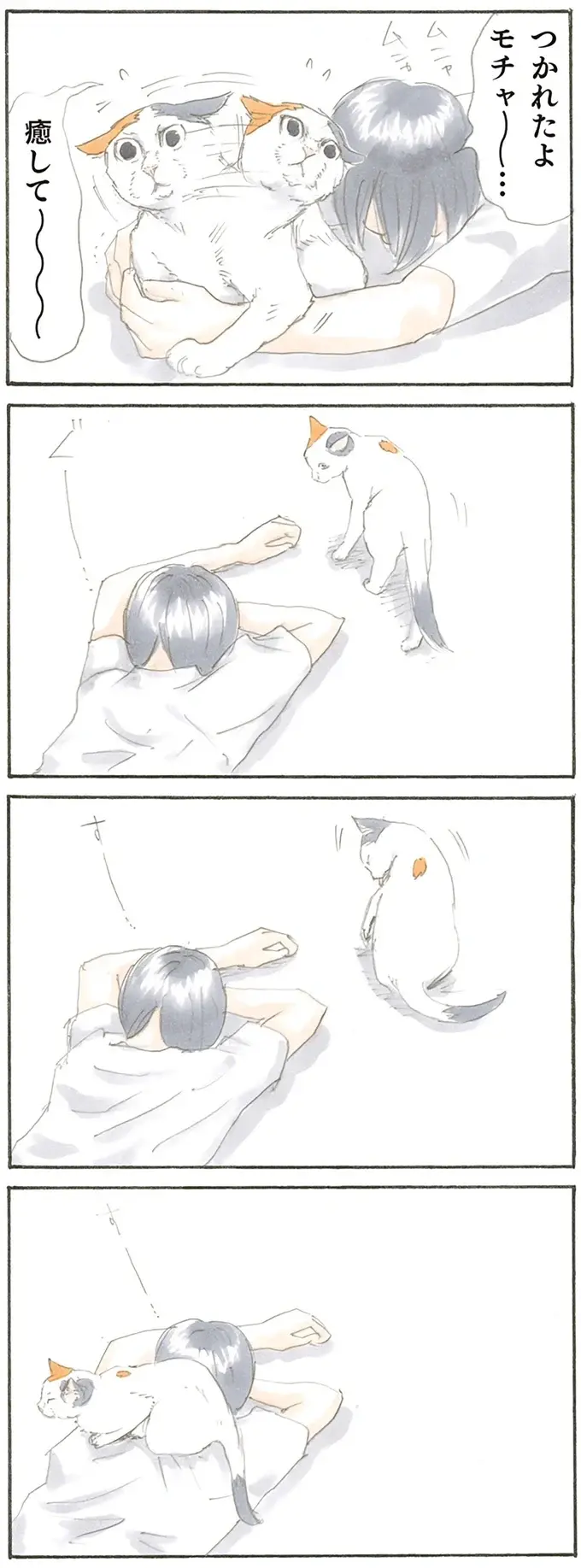 『拾い猫のモチャ1～8』（22）
