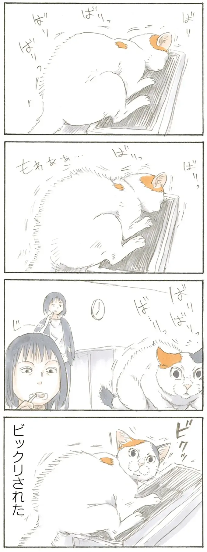 『拾い猫のモチャ1～8』（23）