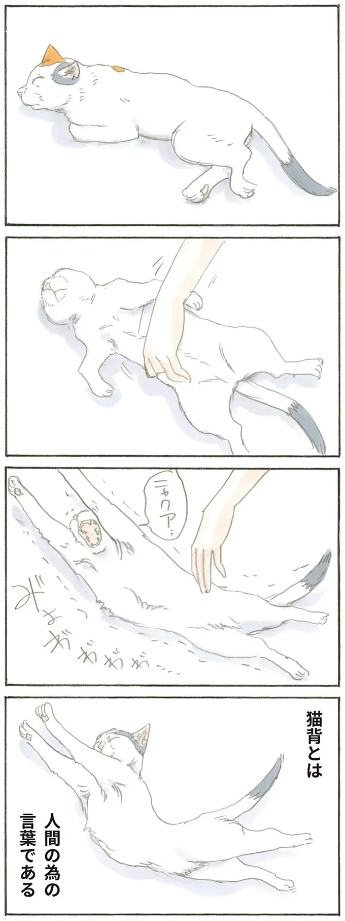 『拾い猫のモチャ1～8』（24）