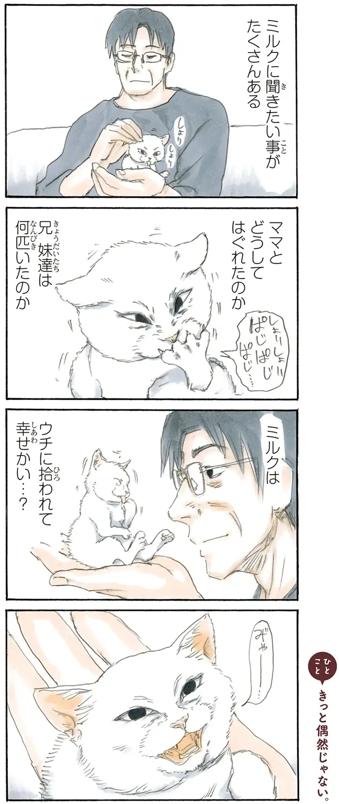 『拾い猫のモチャ1～8』（29）
