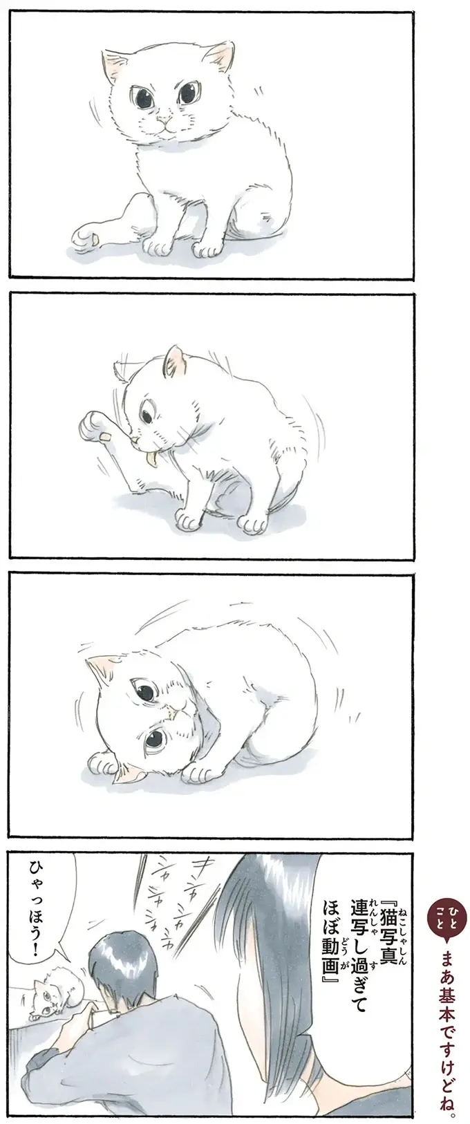 『拾い猫のモチャ1～8』（31）