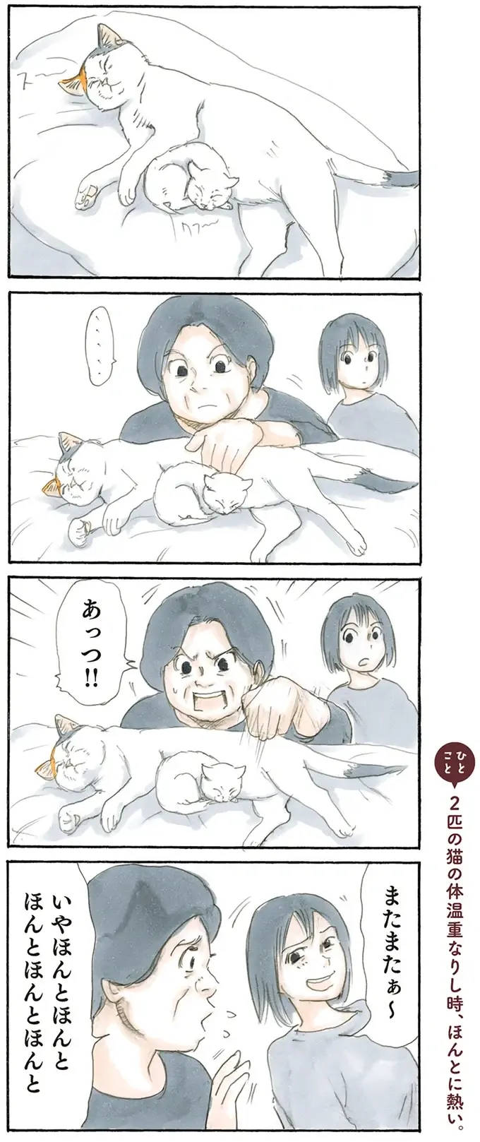 『拾い猫のモチャ1～8』（35）