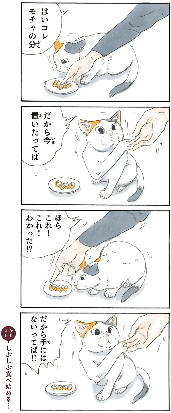 『拾い猫のモチャ1～8』（43）