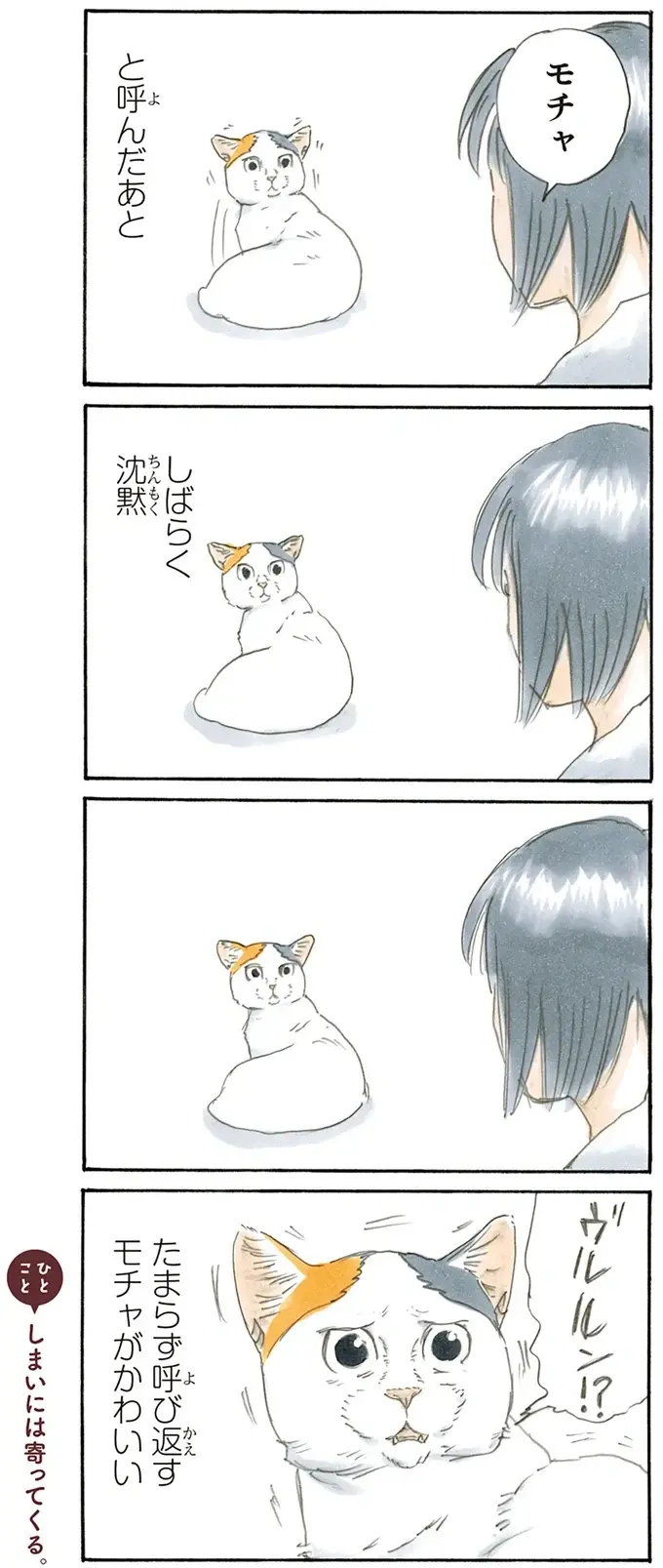 『拾い猫のモチャ1～8』（45）