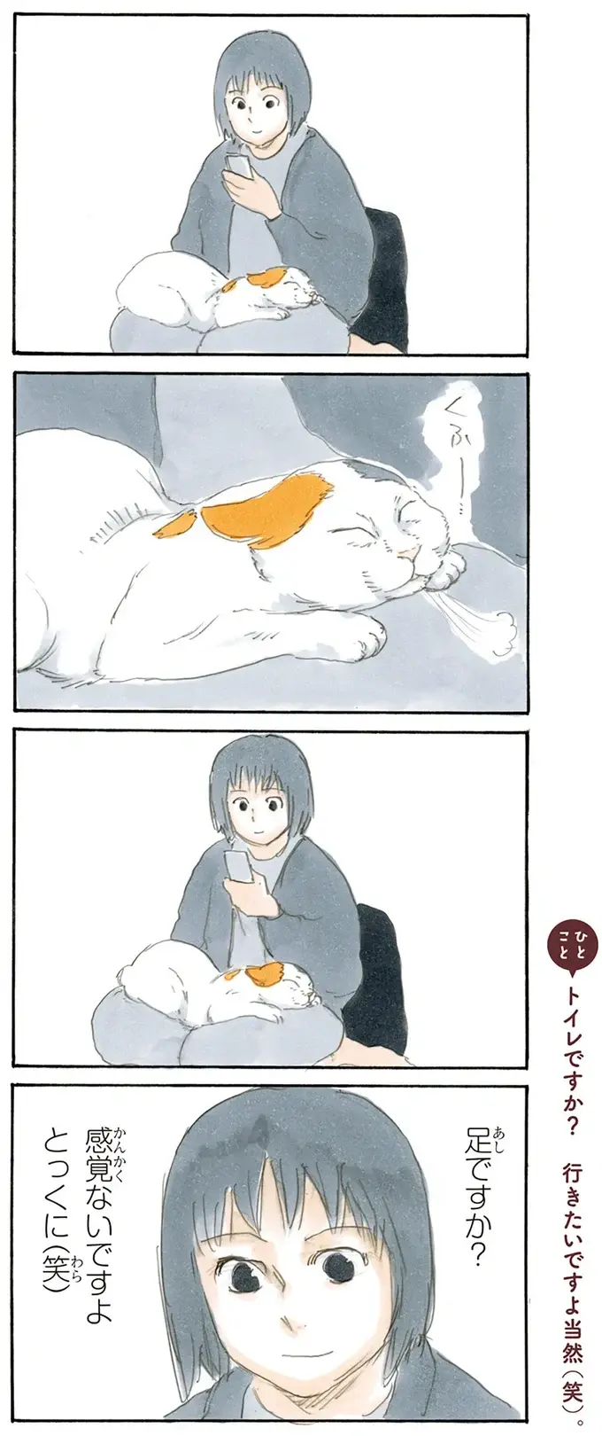 『拾い猫のモチャ1～8』（47）