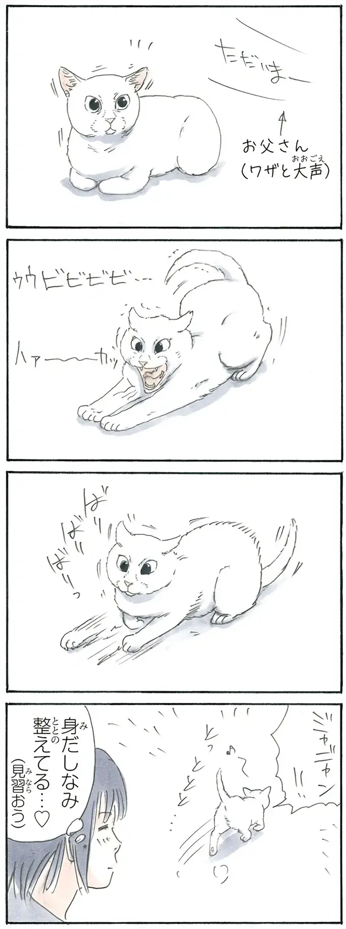 『拾い猫のモチャ1～8』（53）
