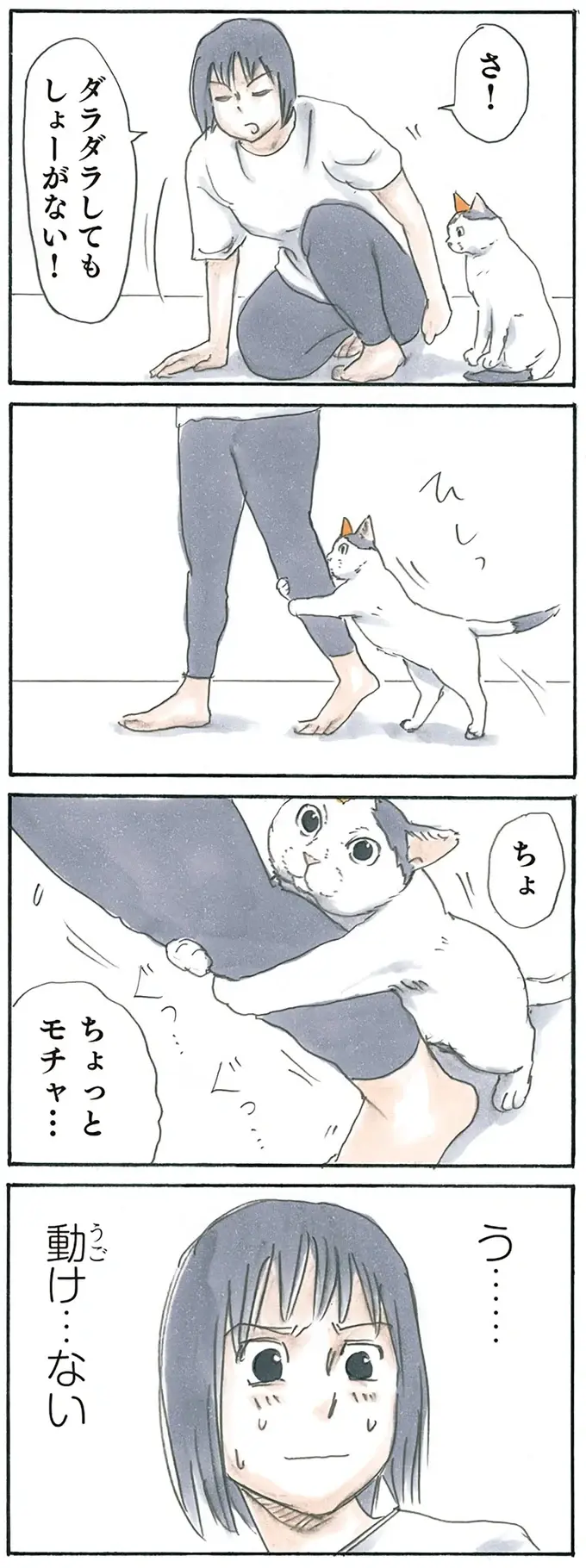 『拾い猫のモチャ1～8』（57）