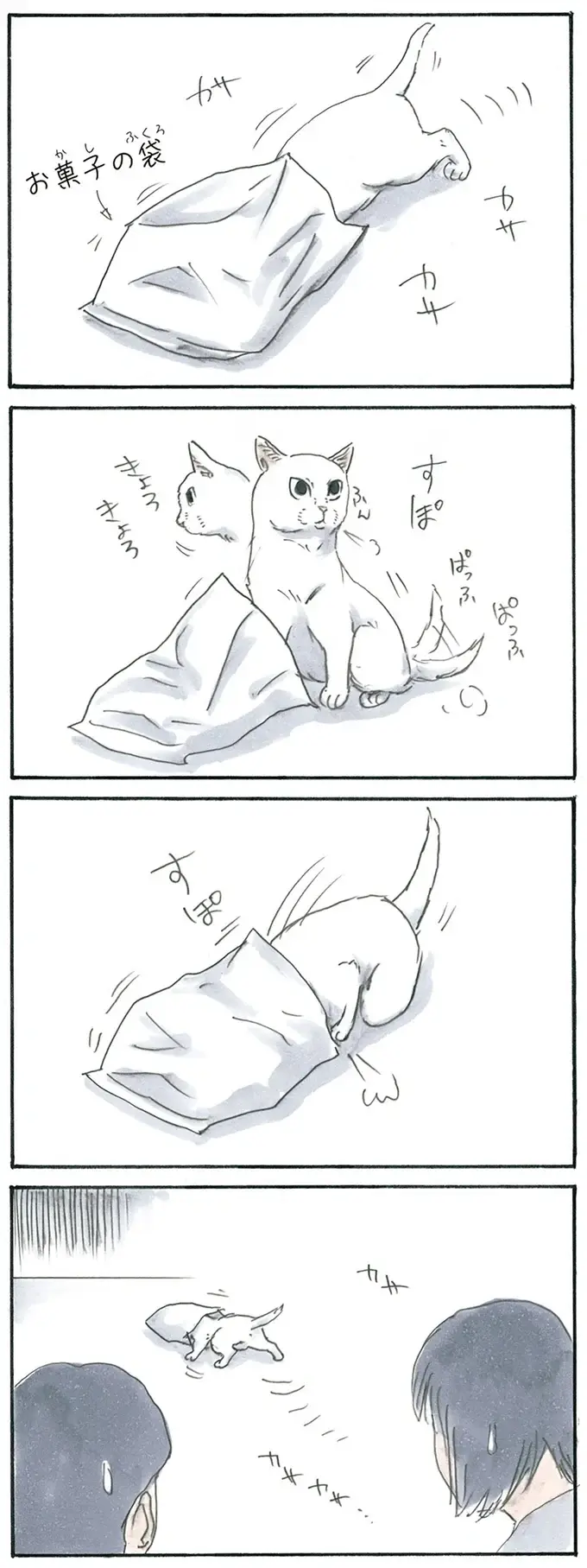 『拾い猫のモチャ1～8』（58）