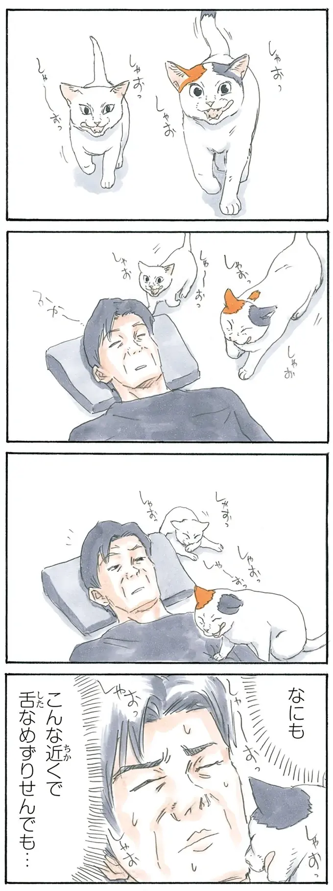 『拾い猫のモチャ1～8』（59）
