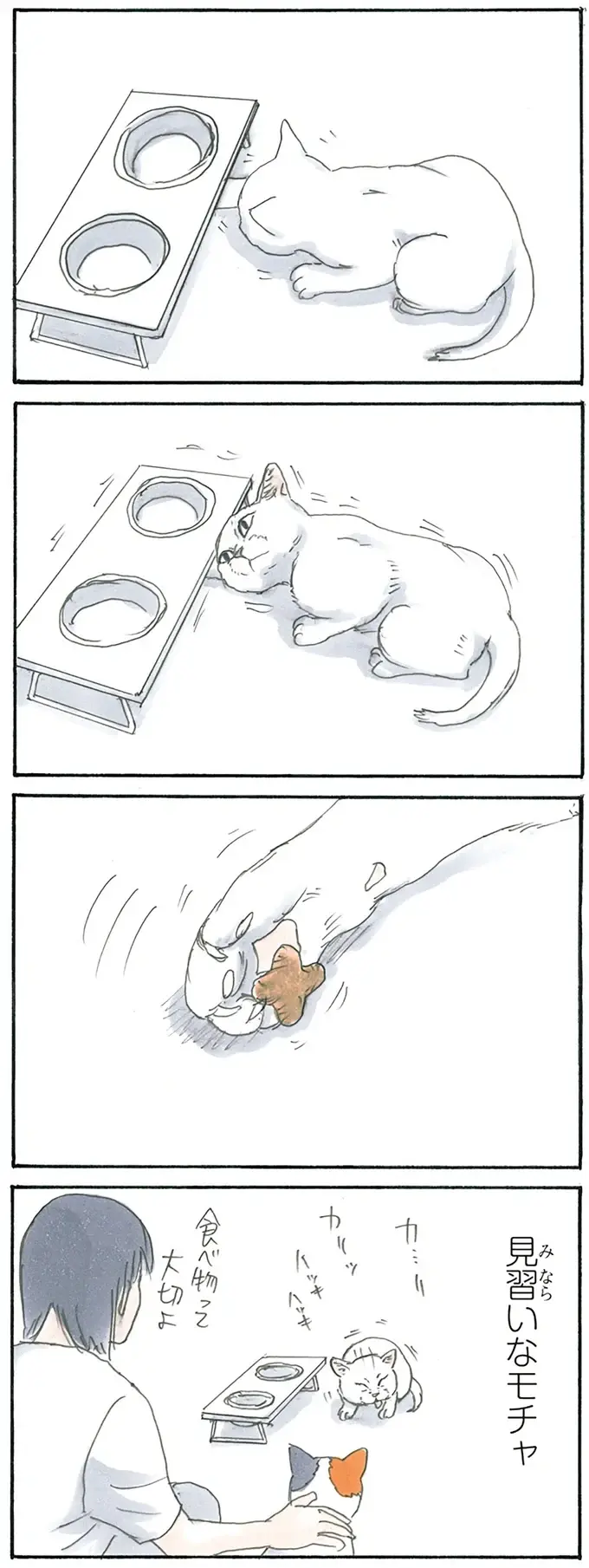 『拾い猫のモチャ1～8』（60）