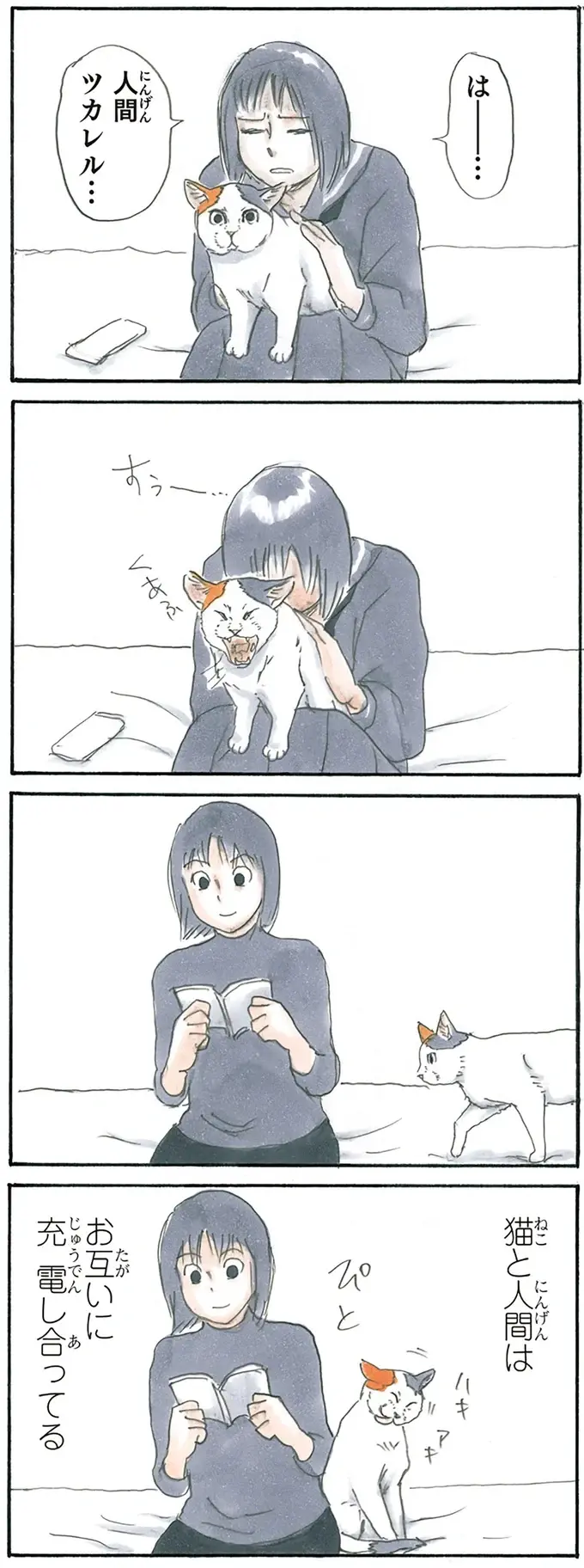 『拾い猫のモチャ1～8』（61）