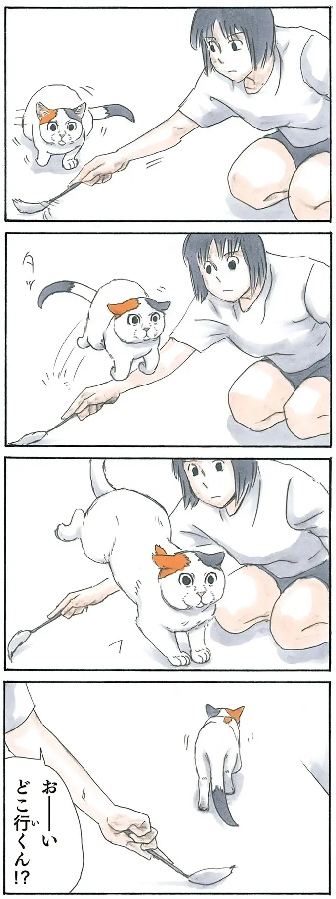 『拾い猫のモチャ1～8』（62）