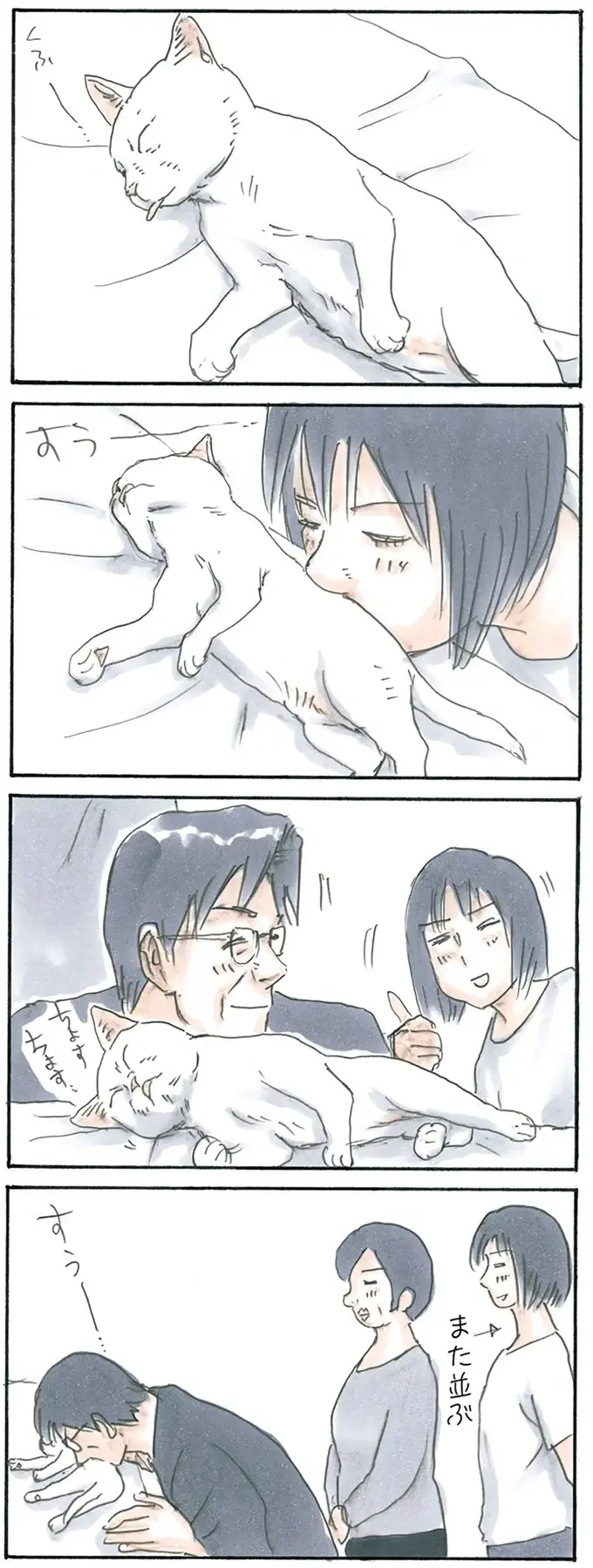『拾い猫のモチャ1～8』（63）