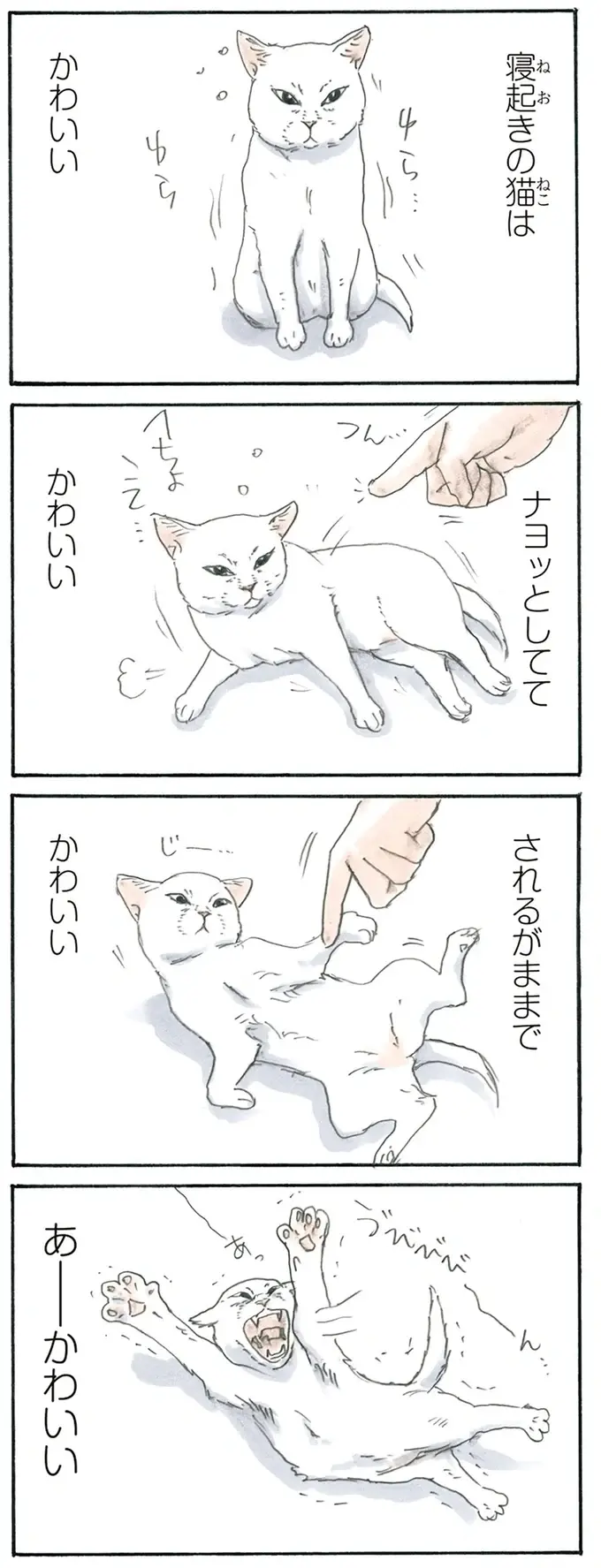 『拾い猫のモチャ1～8』（66）