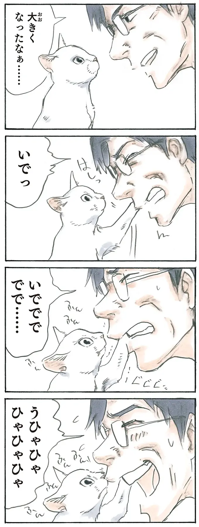 『拾い猫のモチャ1～8』（68）