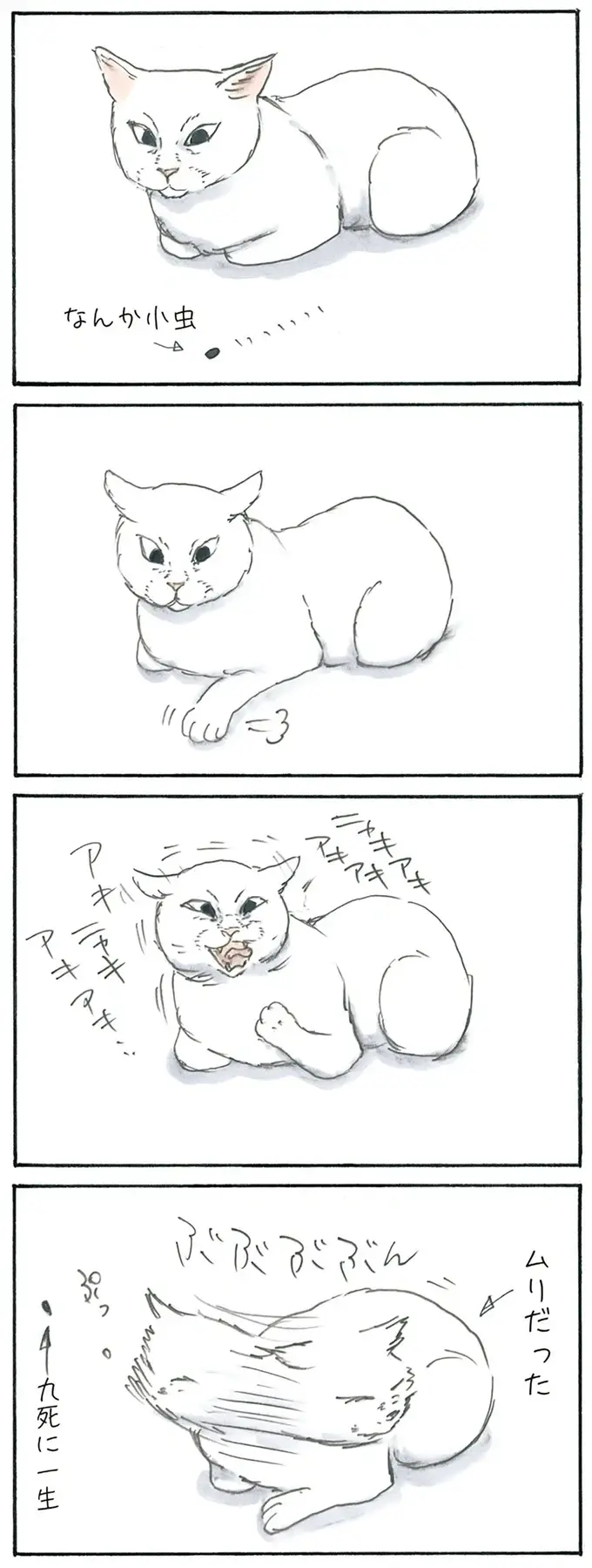 『拾い猫のモチャ1～8』（73）