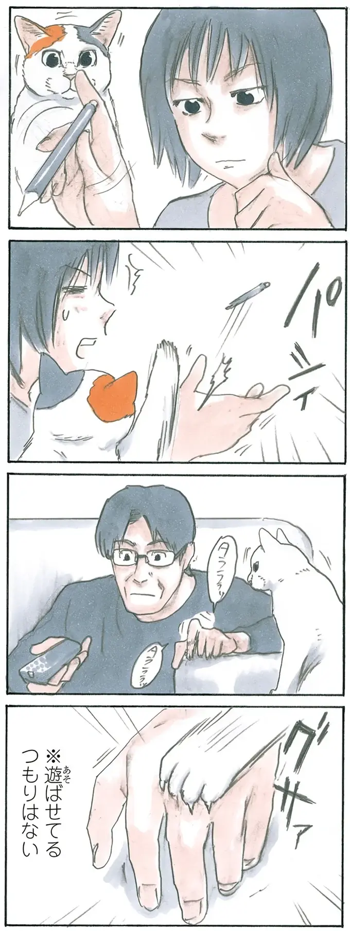 『拾い猫のモチャ1～8』（75）