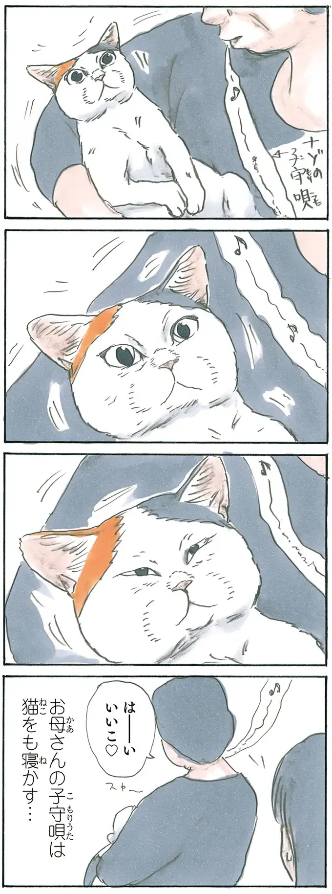 『拾い猫のモチャ1～8』（79）