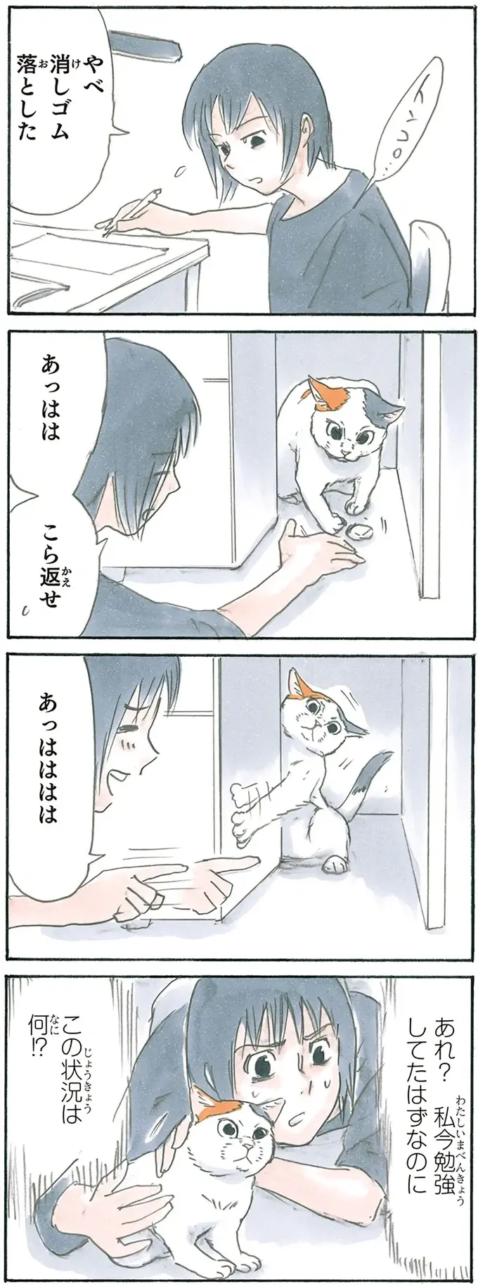 『拾い猫のモチャ1～8』（80）