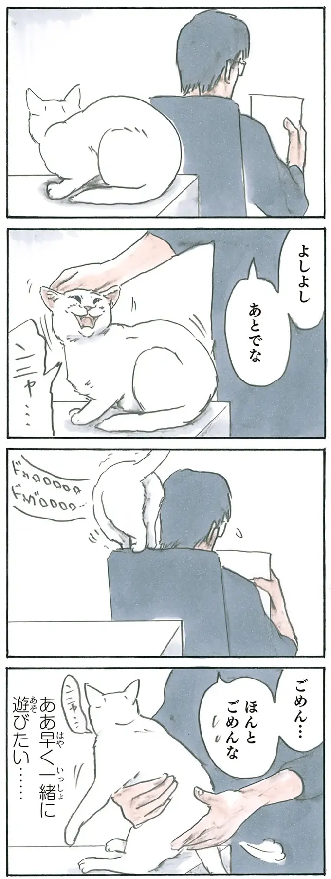 『拾い猫のモチャ1～8』（83）