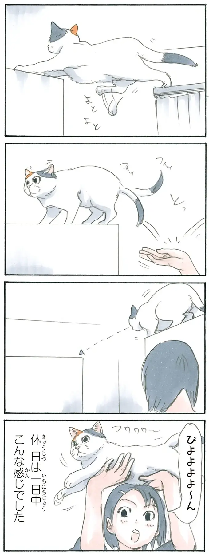 『拾い猫のモチャ1～8』（86）