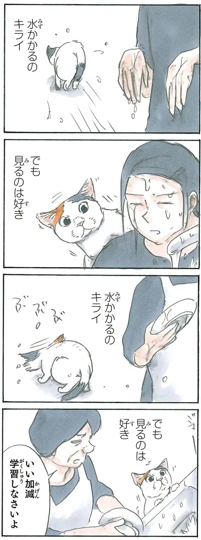 『拾い猫のモチャ1～8』（92）
