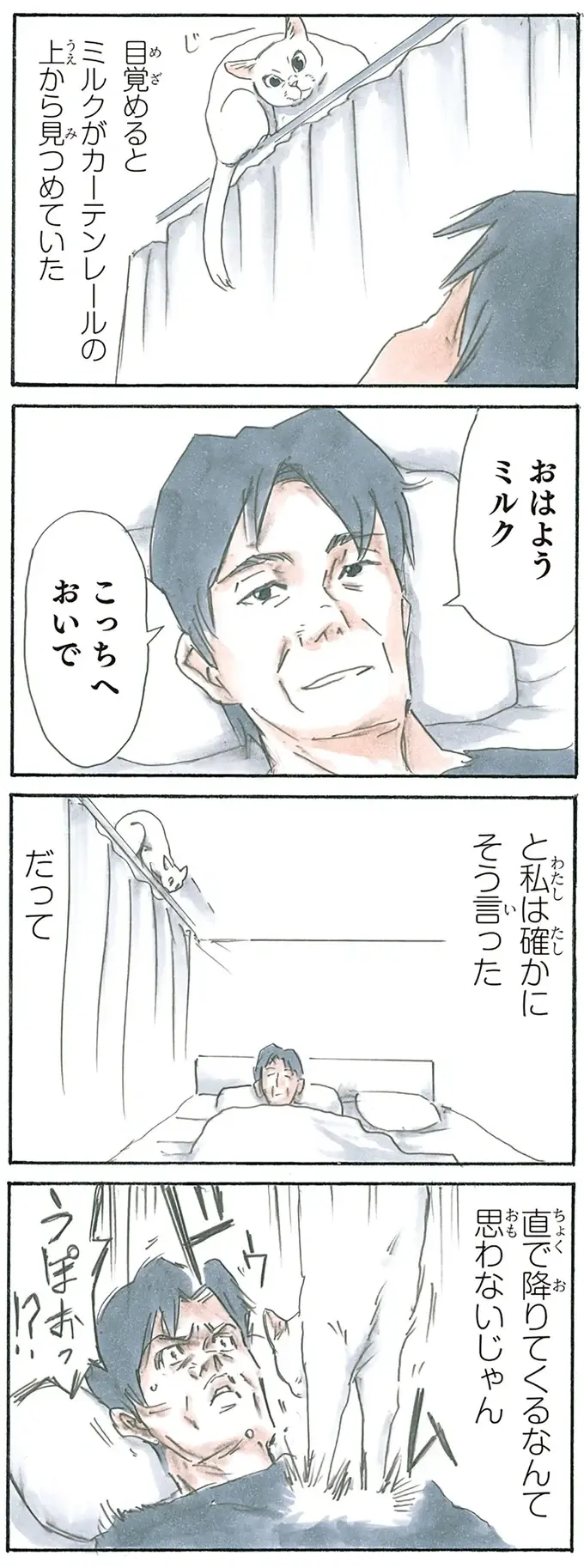 『拾い猫のモチャ1～8』（97）