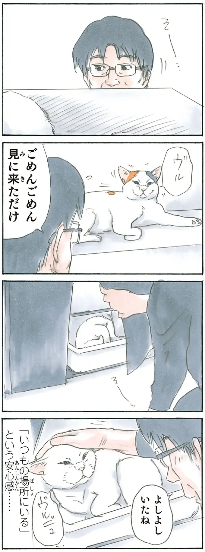 『拾い猫のモチャ1～8』（98）