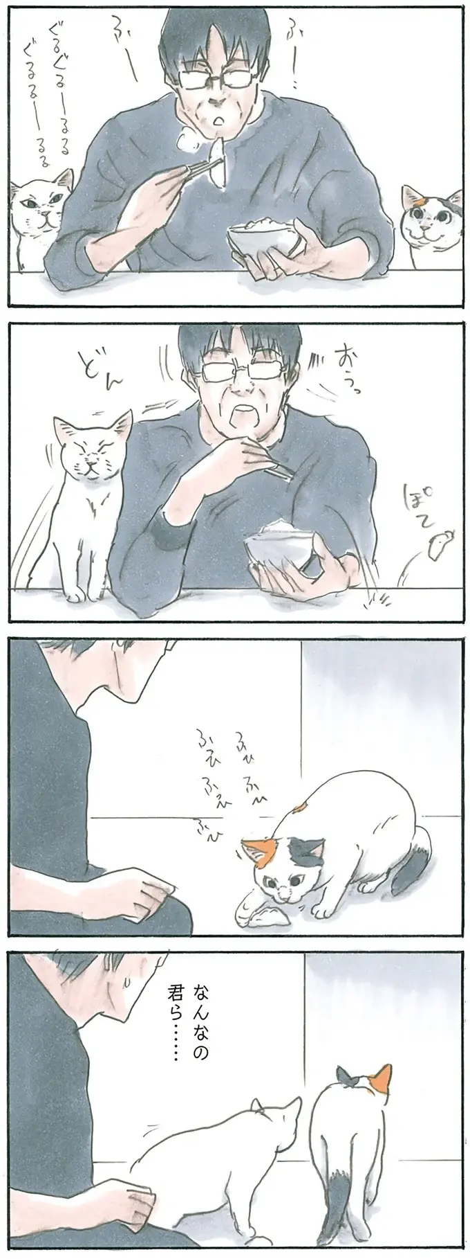 『拾い猫のモチャ1～8』（100）