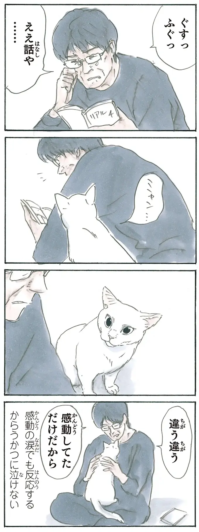 『拾い猫のモチャ1～8』（101）