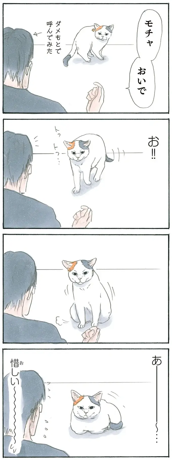 『拾い猫のモチャ1～8』（108）